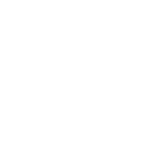 自動車 Icon